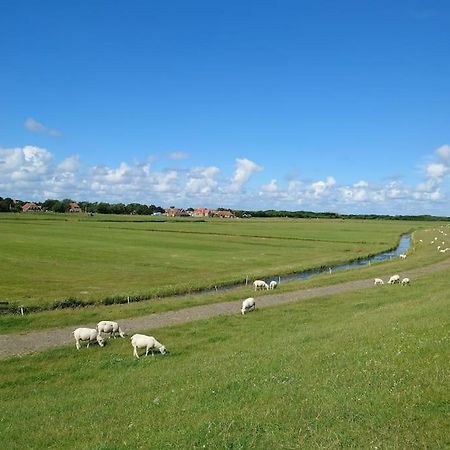 De Oostkamer; Eiland Appartement Naast Natuurgebied Boschplaat Oosterend  Екстер'єр фото