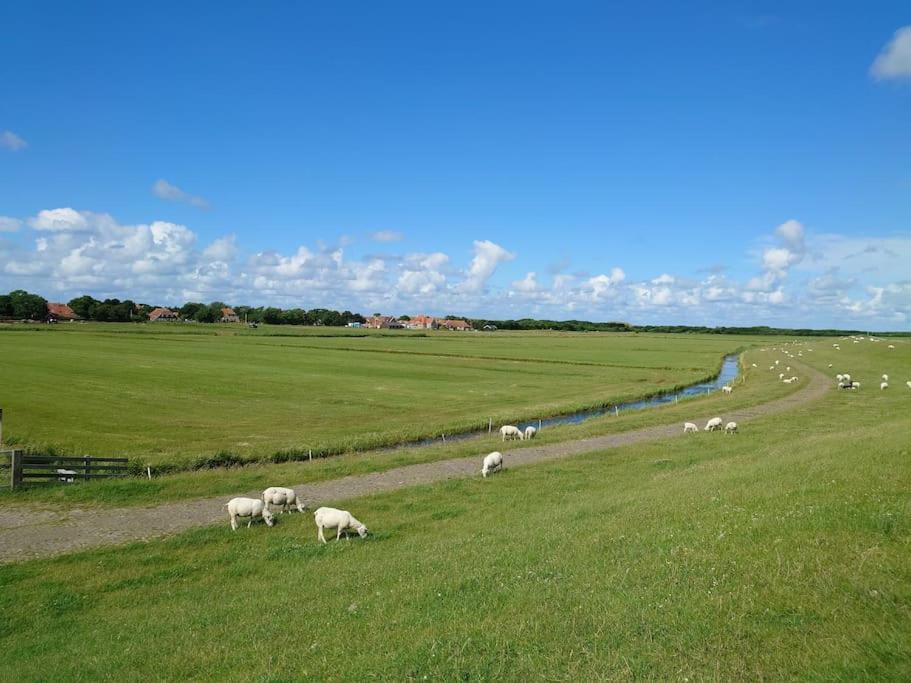 De Oostkamer; Eiland Appartement Naast Natuurgebied Boschplaat Oosterend  Екстер'єр фото